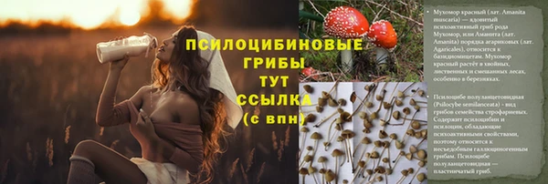 винт Аркадак